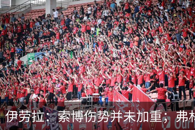 伊劳拉：索博伤势并未加重；弗林蓬国际比赛日之前恐难复出