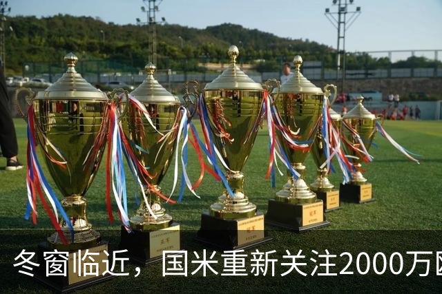 冬窗临近，国米重新关注2000万欧元27岁1米97乌迪内斯门将奥科耶