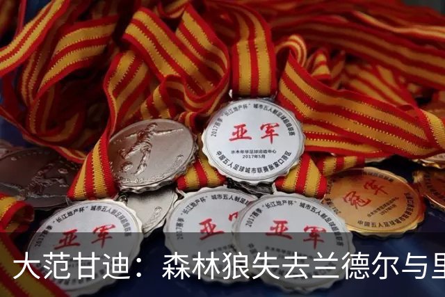 大范甘迪：森林狼失去兰德尔与里德实力骤降 最多排西部第六