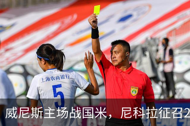 威尼斯主场战国米，尼科拉征召29名球员