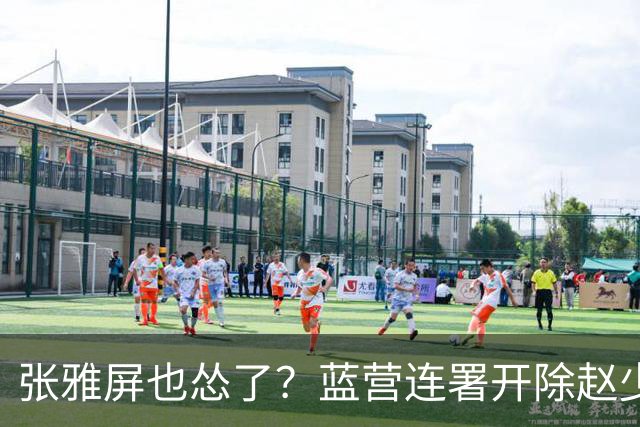 张雅屏也怂了？蓝营连署开除赵少康，张雅屏：联署人数不能替代事证