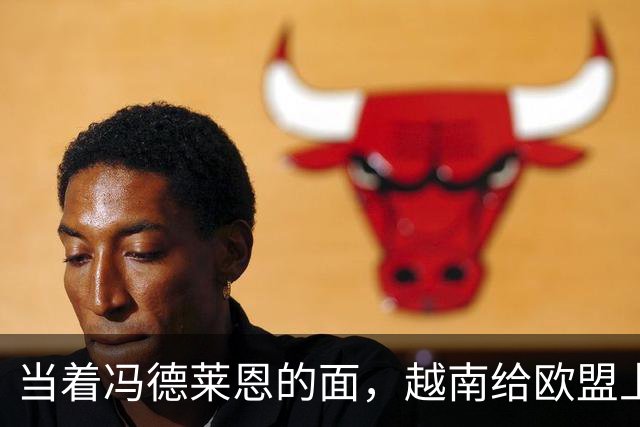 当着冯德莱恩的面，越南给欧盟上了一课：什么叫“中国力量”