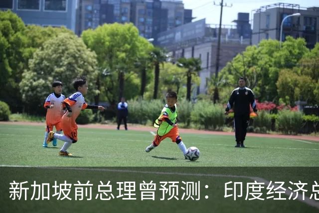 新加坡前总理曾预测：印度经济总量将超中国，一大优势全面占优？