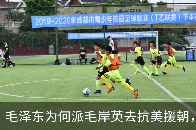 毛泽东为何派毛岸英去抗美援朝，时隔70年，刘思齐才终于说出真相
