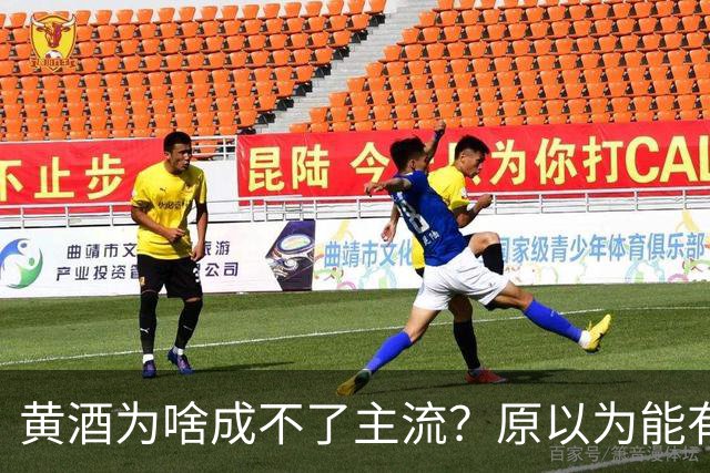 黄酒为啥成不了主流？原以为能有共鸣，谁料评论一边倒